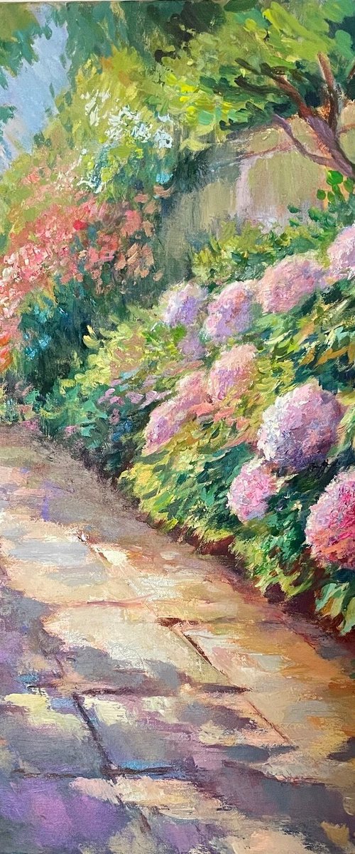 Colourful Hydrangeas by Anna Reznikova