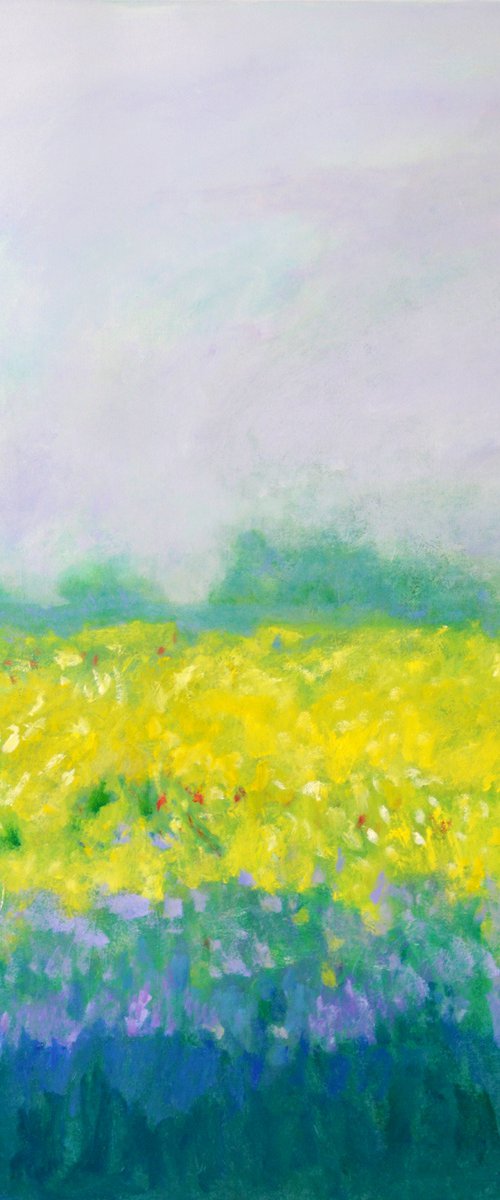 Landscape blanket of yellow flowers by Cristian Valentich