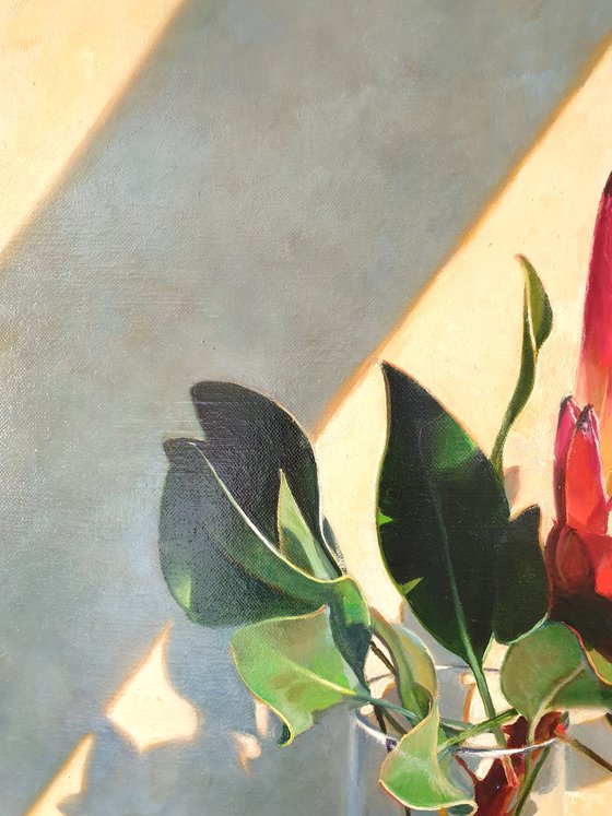 "African rose."  still life summer Protea flower liGHt original painting  GIFT (2020)