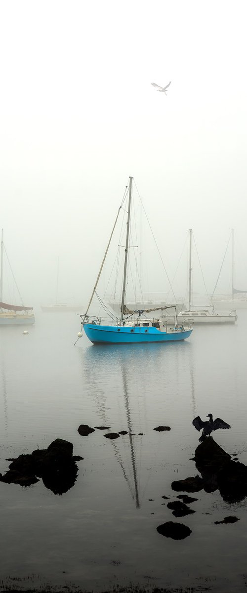 Williamstown Fog by Nick Psomiadis