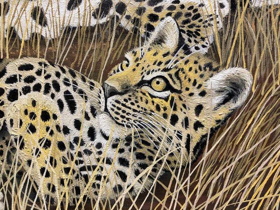 Leopard Mother and Cub