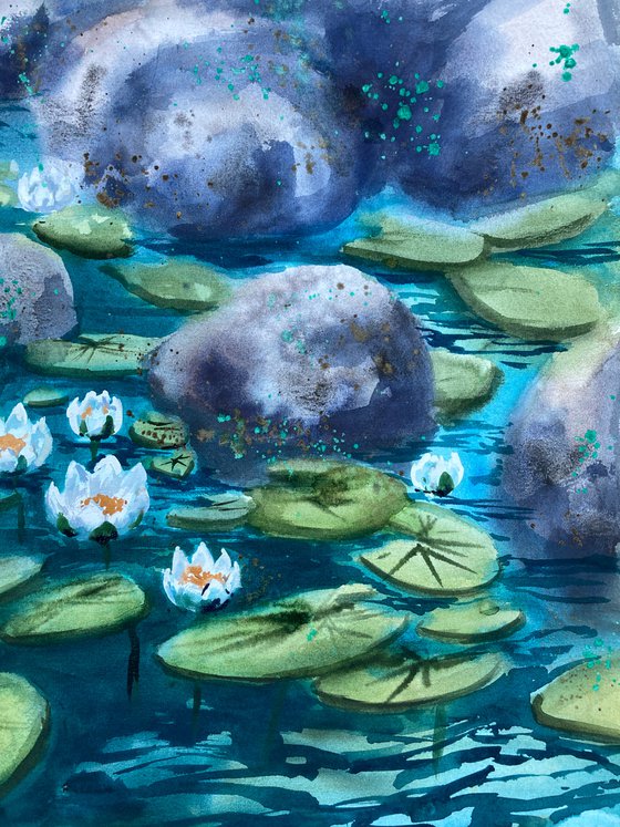 Water Lilies