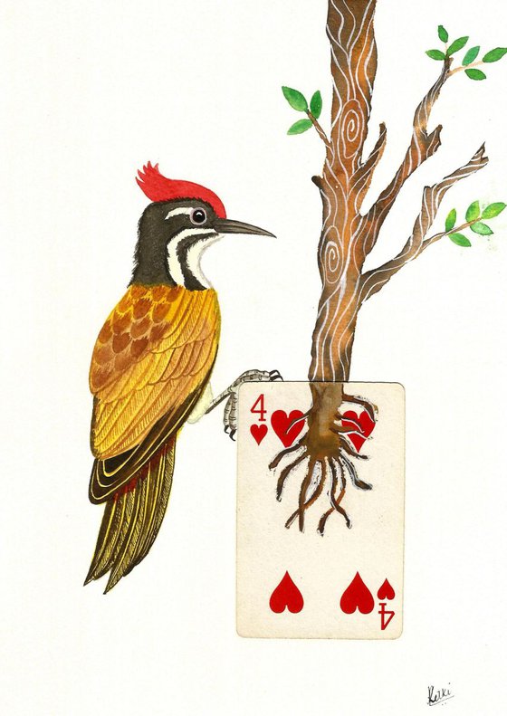 Golden-Backed woodpecker