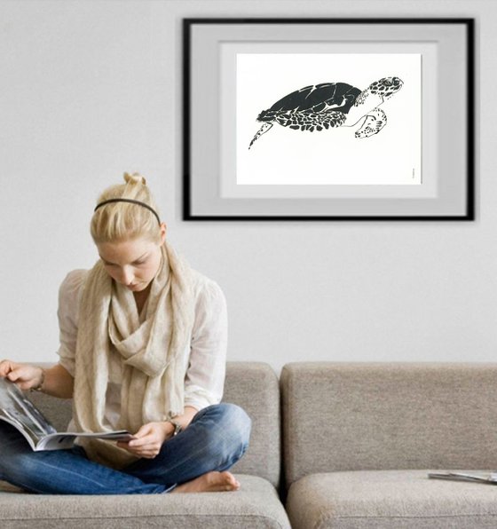 Turtle I Animal Drawing