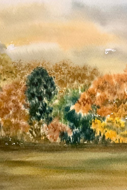 Admiring the autumn tree colours by Samantha Adams
