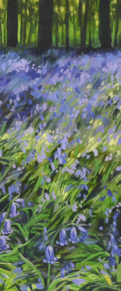 A Blaze of Blue by Theresa Shaw