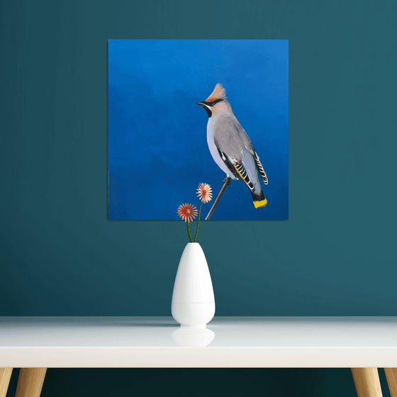 Bohemian waxwing