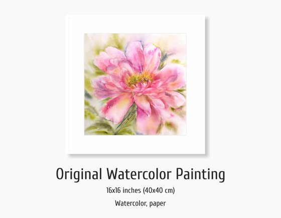 Peony. Pink flower watercolor painting