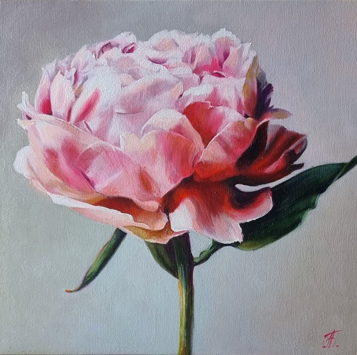 Peony mood. (2024) by Anna Bessonova (Kotelnik)