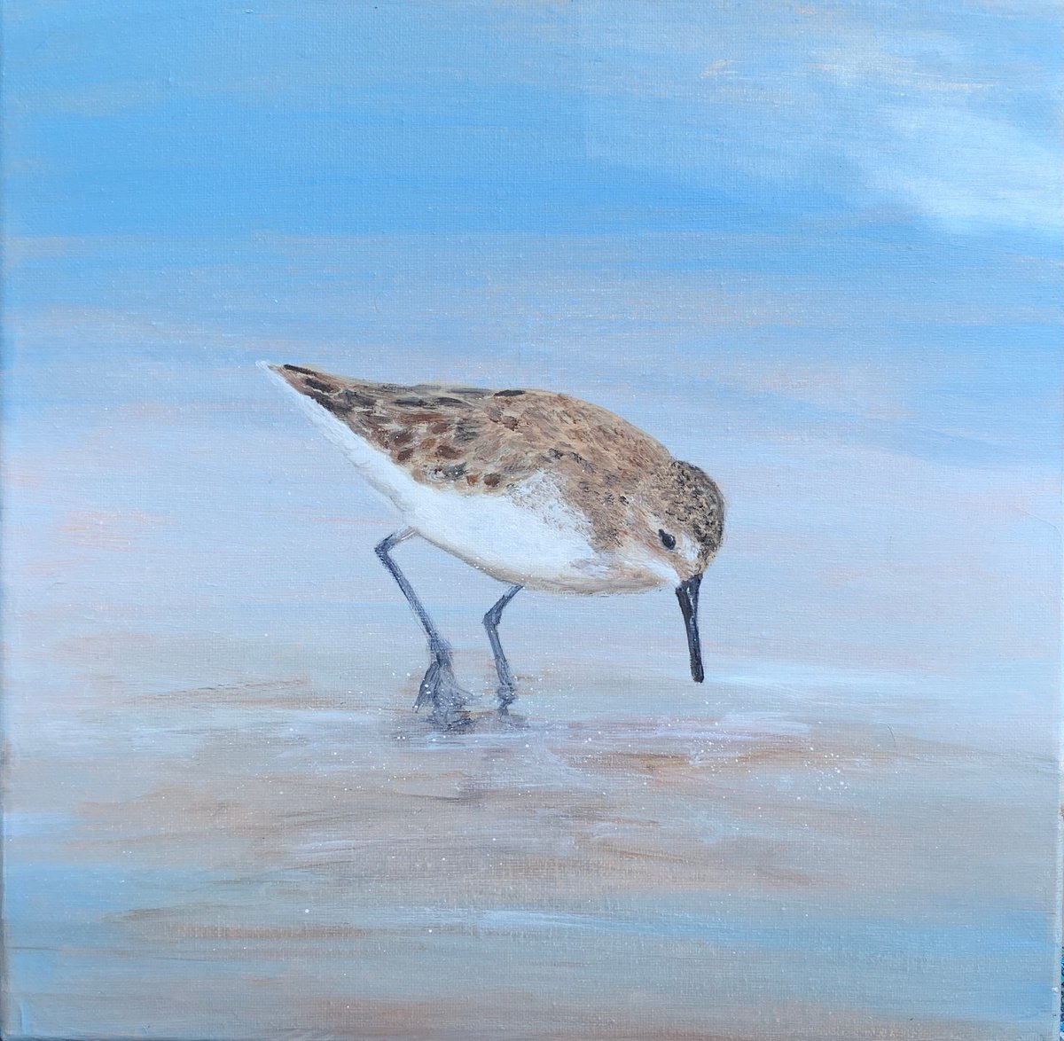 Young Sandpiper At The Beach by Laure Bury