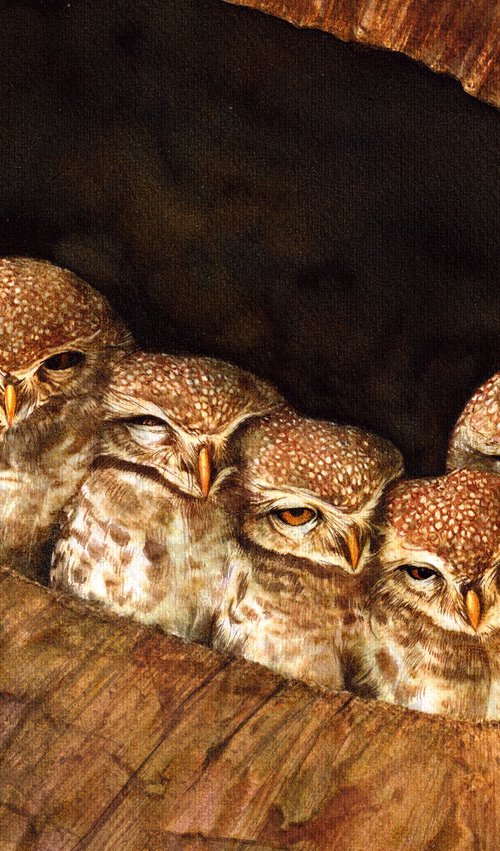 Six Little Cute Owls by REME Jr.
