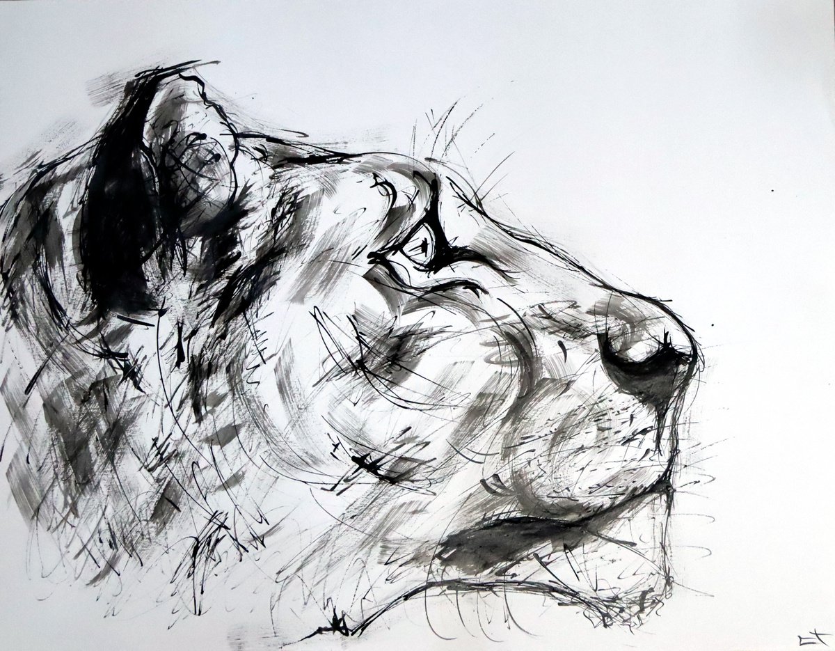 Expressive Animal Ink Drawing By Lionel Le Jeune, 26 X 20", Lionne, Original Artwork