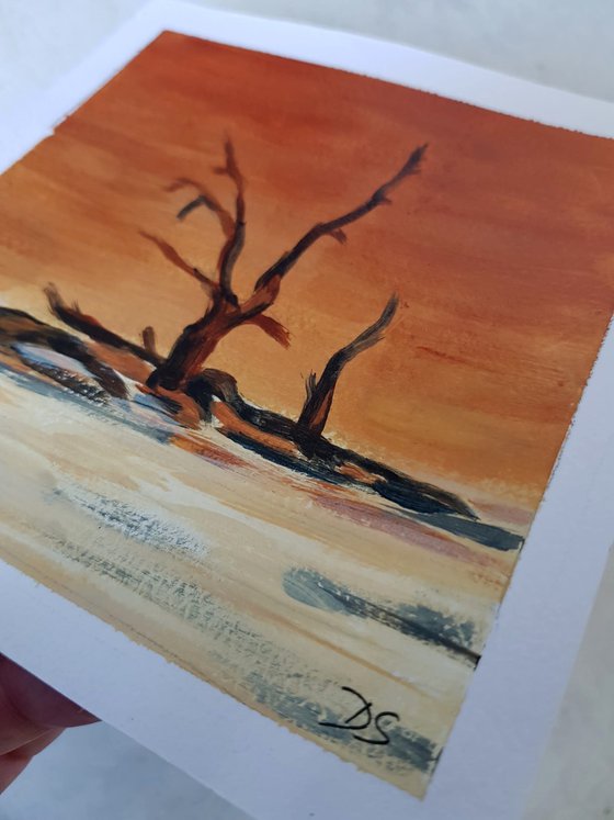 Desert Acacia Diptych