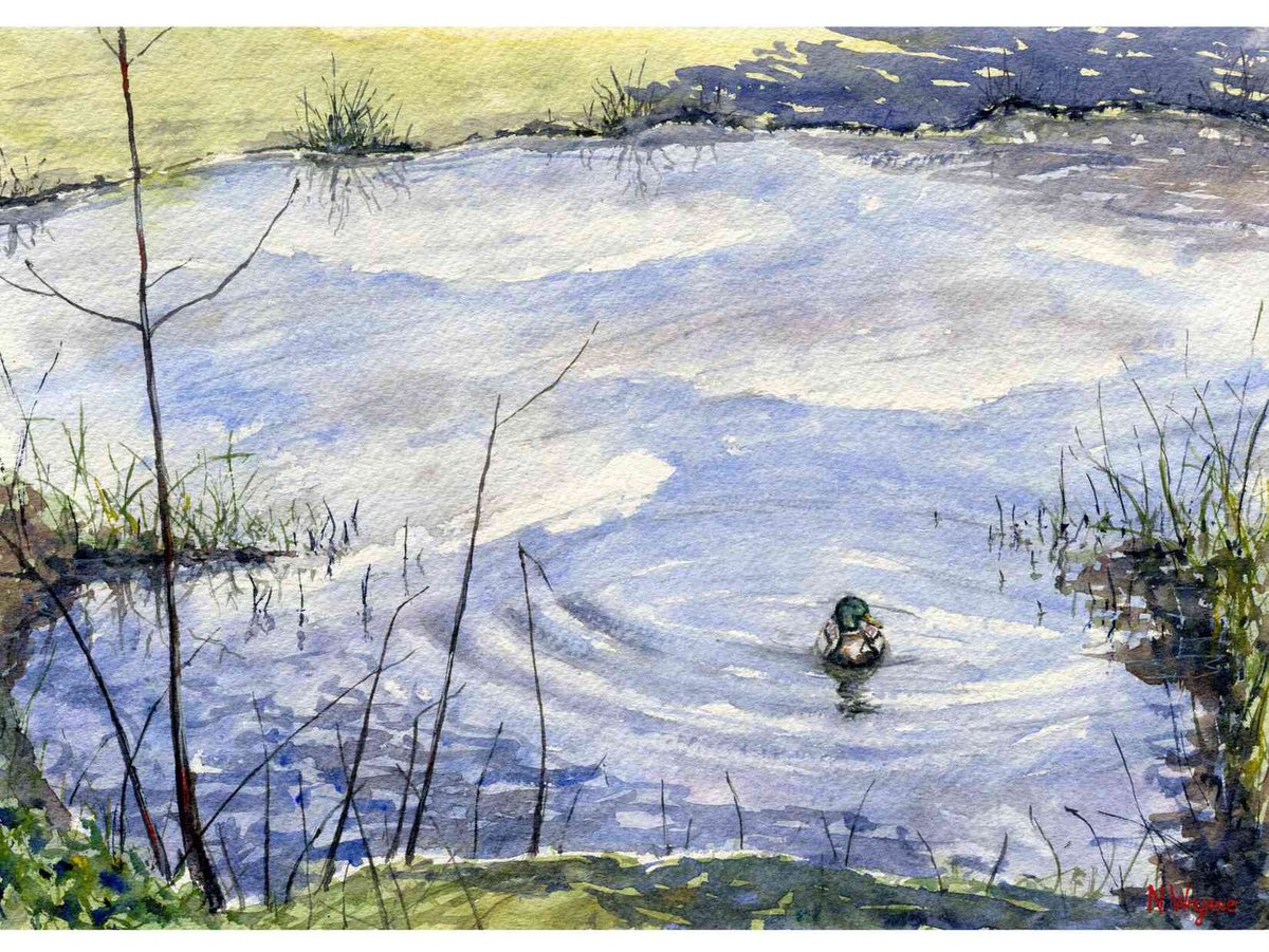 Watercolour Painting - THE CALM POND - Countryside water Duck Lake Scene Original Art by Neil Wrynne