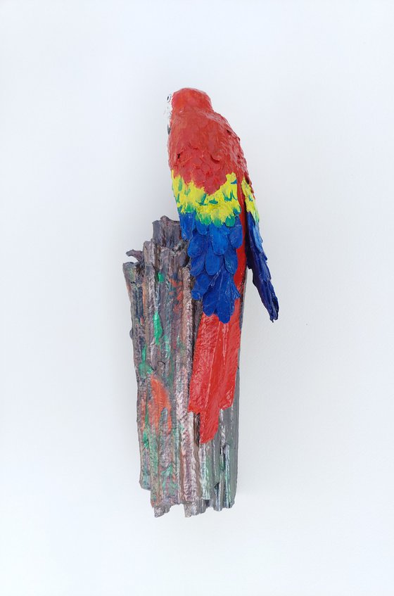 Scarlet Macaw Clay Lick