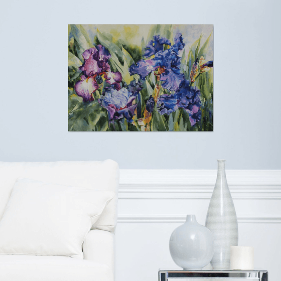 Irises in the garden #2