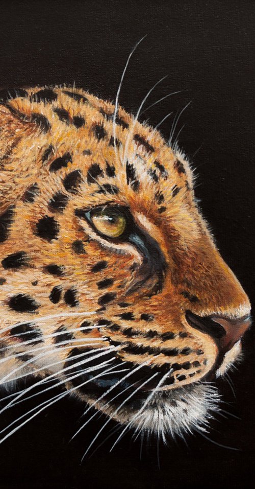 Pefil de leopardo by Norma Beatriz Zaro