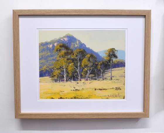 Australian Landscape with Gum trees