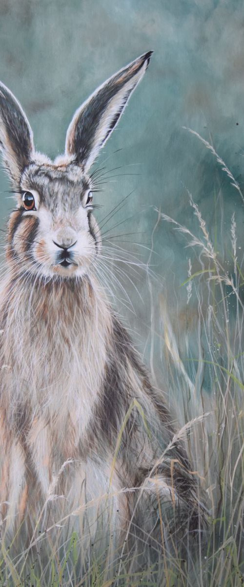 'Haughty Hare' by Nicola Colbran