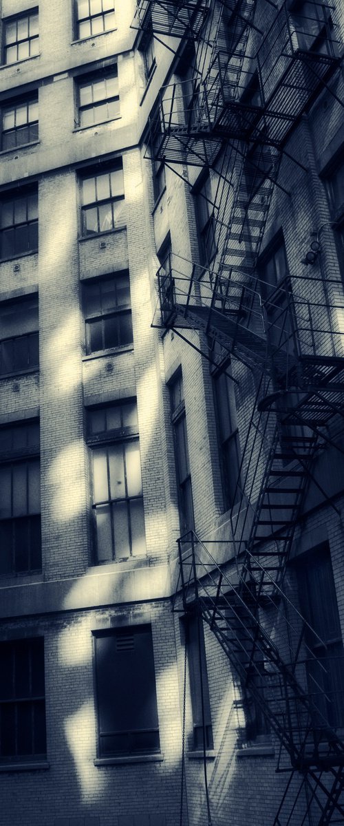 The Last Fire Escape by Robert Tolchin