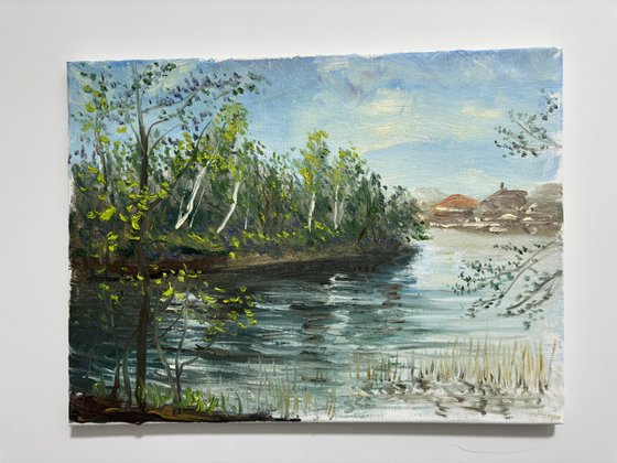 Birch trees on the lake
