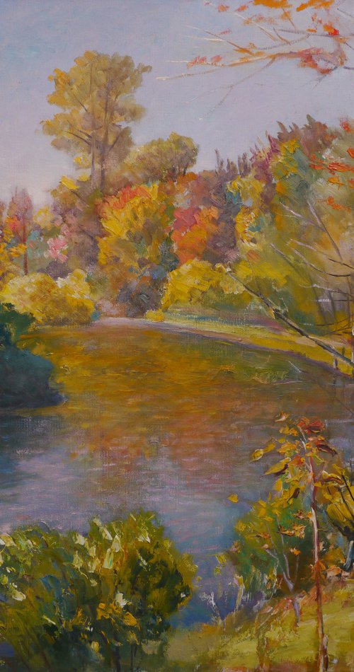 Autumn floats away with water by Vyacheslav Onyshchenko
