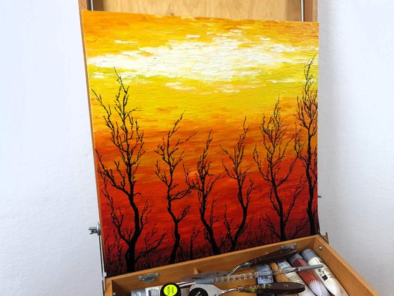 Sunny trees