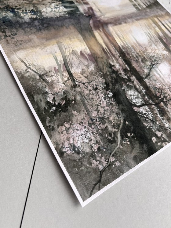 Morning landscape