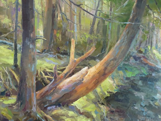 Forest river