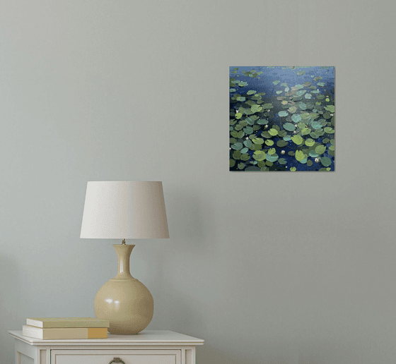 Water lilies. The pond. Evening dusk