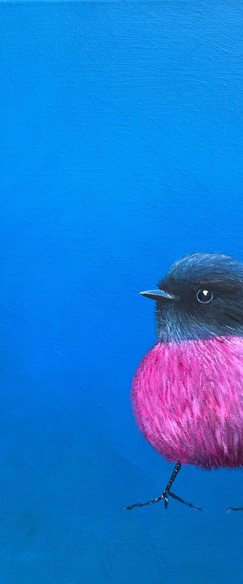 Pink Robin by Laure Bury