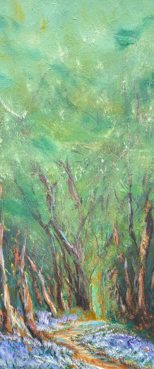 Bluebell Wanderings by Mel Graham