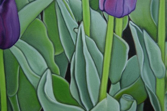 Purple Tulips