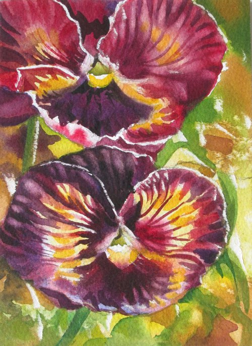 Two pansy by Alfred  Ng