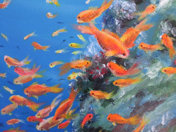 Fishes at a Sea Reef