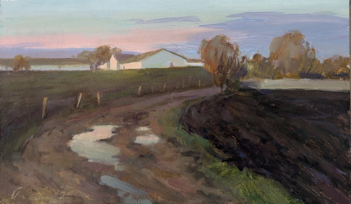 Countryside Evening By Olga Samar, 12 X 6, Artwork For Sale On Artfinder