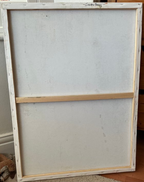 Winter Greenhouse Nasturtiums