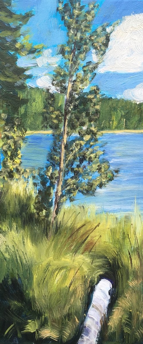 Pastor's lake trees 2 by Elena Sokolova