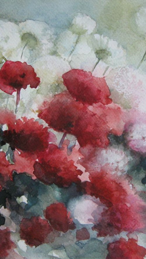 Red and white flowers by Elena Oleniuc