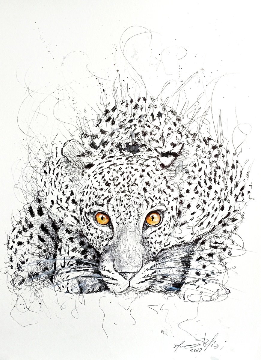 Urban And Pop Animal Ink Drawing By Maurizio Puglisi, 12 X 16", I Look Into Your Heart, Original Artwork