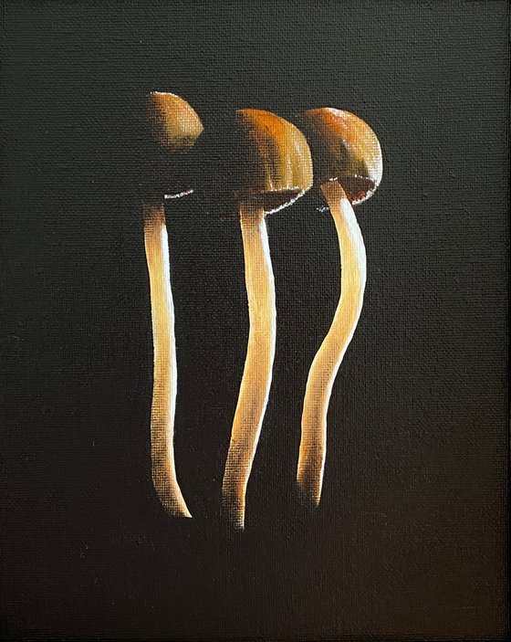 Three Mushrooms