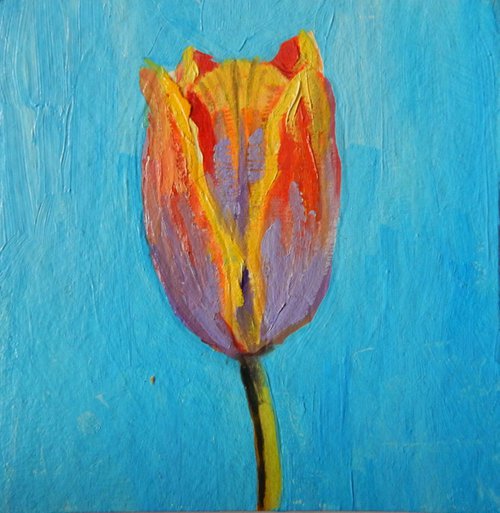 Tulip. by Vita Schagen