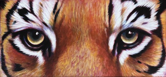 Large Tiger Eyes Framed