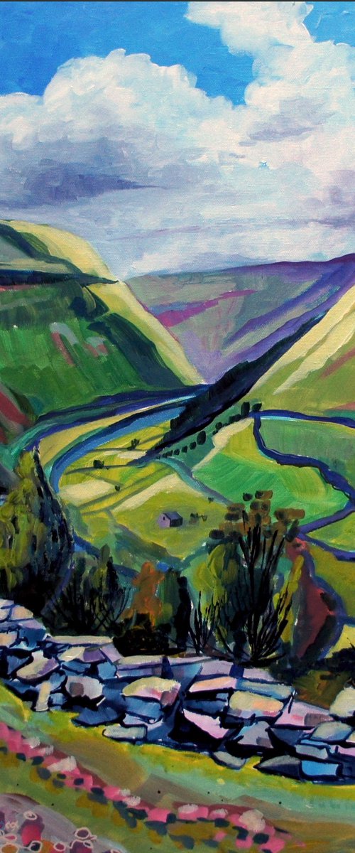 Swaledale from the top footpath by Julia  Rigby