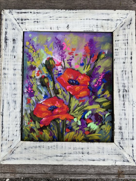 Red poppies