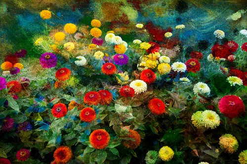 The memories of flowers by Viet Ha Tran