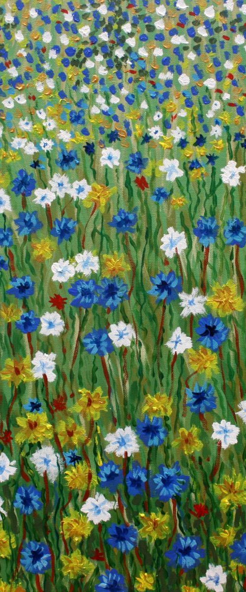 Cornflower Meadow by Paul J Best