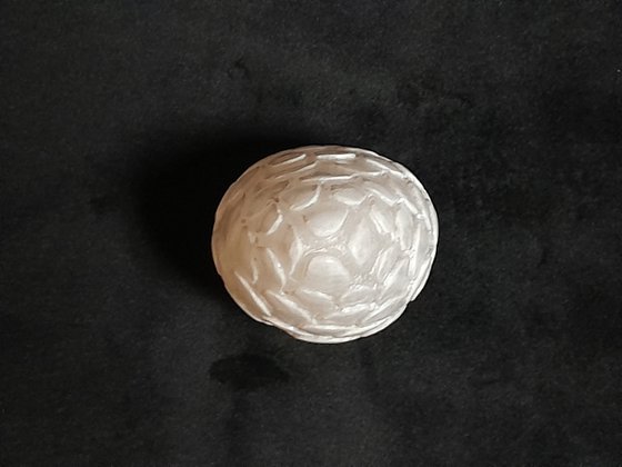 Dragon's Egg
