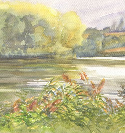 Red orange reed / Pond Watercolor landscape by Olha Malko