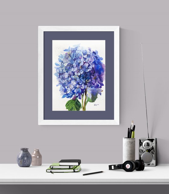 Blue hydrangea bouquet. Botanical painting